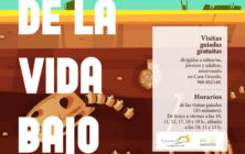 20190510_Expo GIGANTES DE LA VIDA BAJO TUS PIES