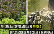 20200604_Ayudas agricultura y ganaderia DANA