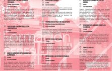 cursos cedes