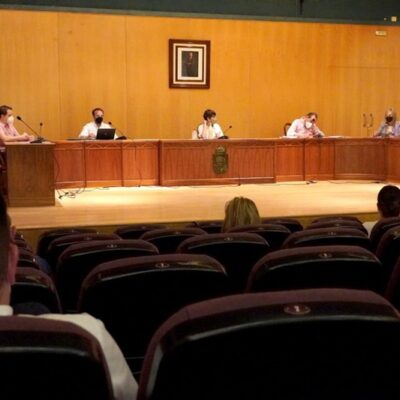 pleno extraordinario abril