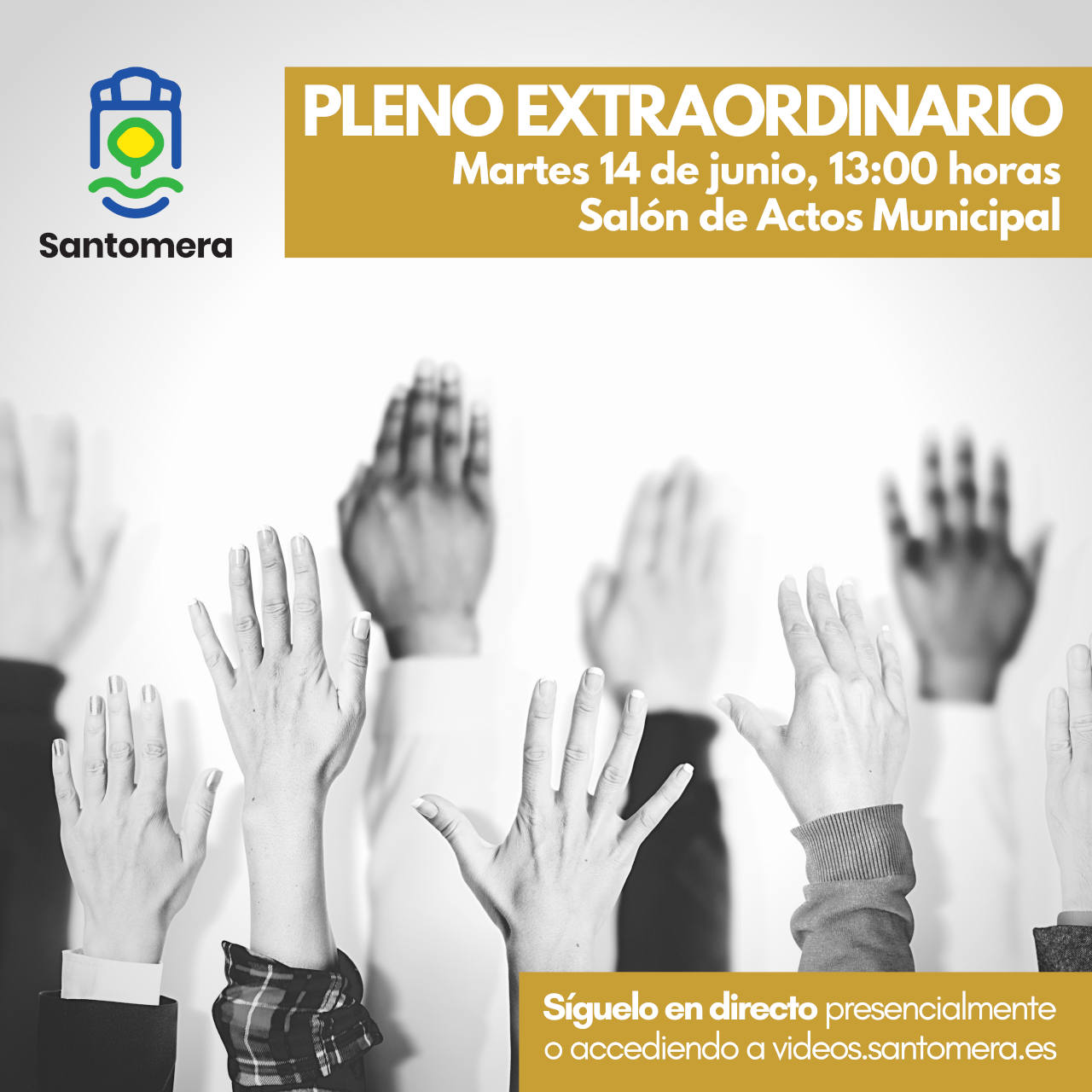 20220614_Pleno extraodrinario