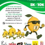 XI Carrera Popular Santomera: carreras de base